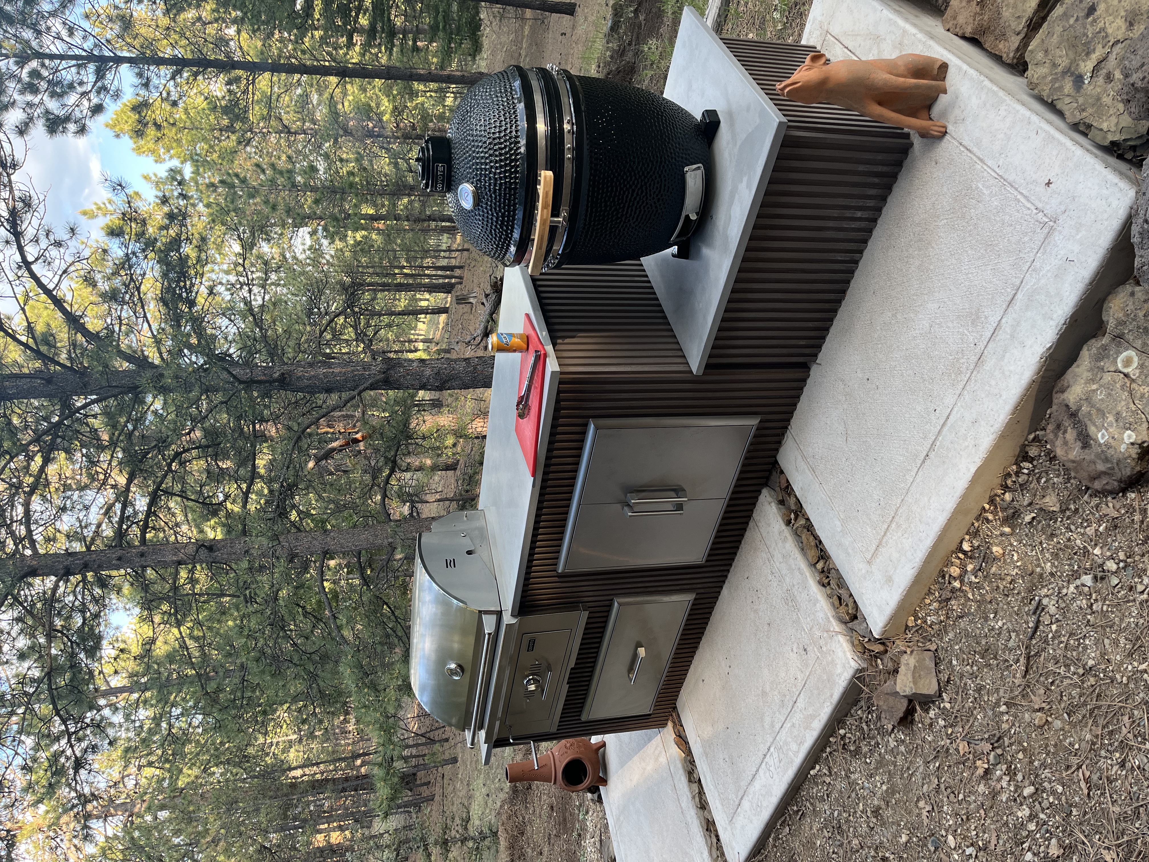 Coyote grill and kamado, forest cabin outdoor kitchen